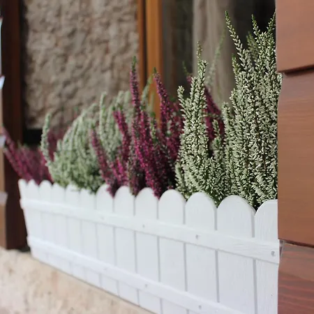 B&B - Relais De Charme La Caminella 산피에트로인카리아노